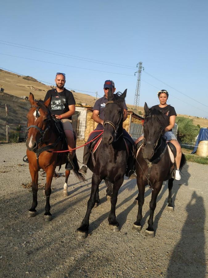 Affitta Camere San Procopio Troina المظهر الخارجي الصورة